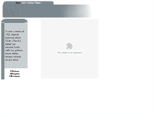 Tablet Screenshot of camex.it